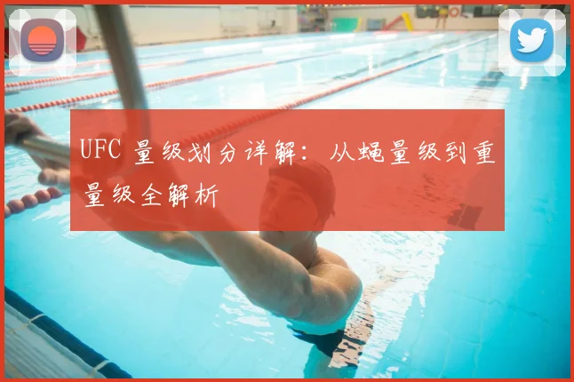 UFC 量级划分详解:从蝇量级到重量级全解析