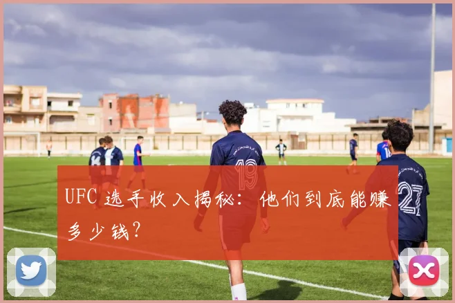 UFC 选手收入揭秘:他们到底能赚多少钱?