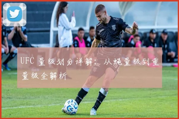 UFC 量级划分详解：从蝇量级到重量级全解析